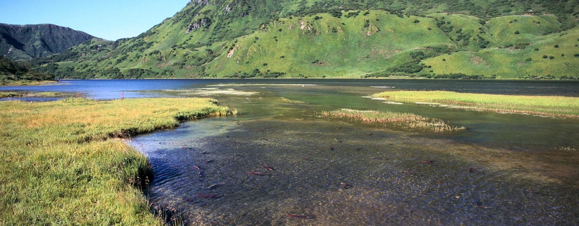 River with small mountains in background