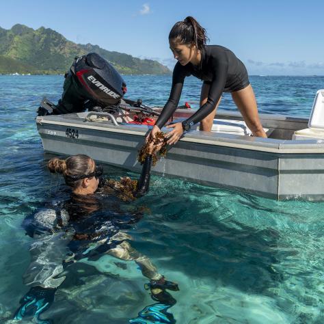 Two female students, one one a boat helps the diver