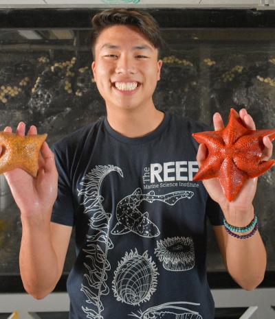 Jordan Ng holds sea stars at The REEF