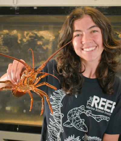 Katie Vick holds a spiny lobster at The REEF