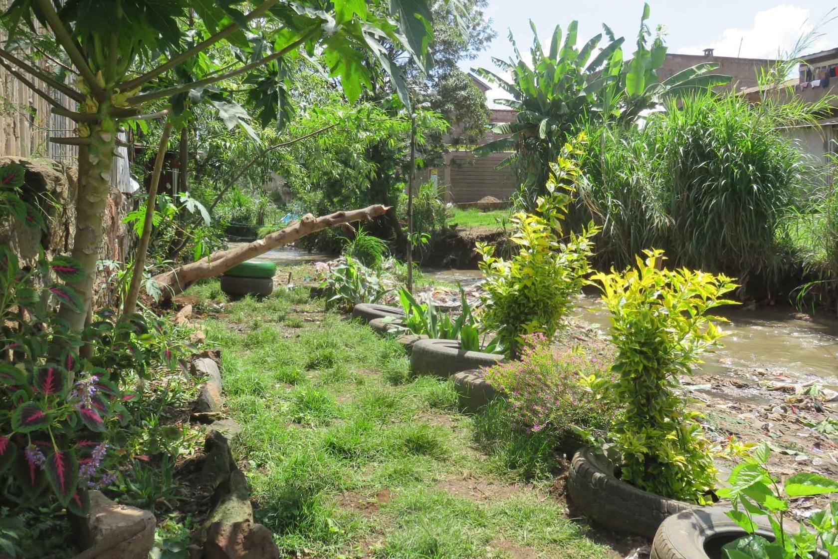River flowing through luscious vegetation
